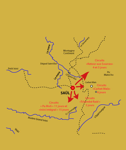 Saul